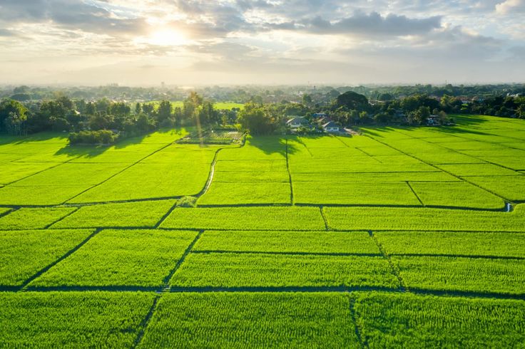 boxed out of a mortgage there's always buying land — here's what to know